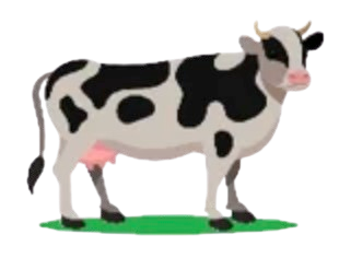 cow